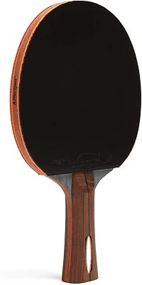 ping pong paddle